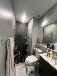 The Tresor (D10), Condominium #630327691